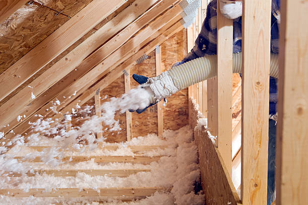 Best Basement Insulation  in Mahtomedi, MN